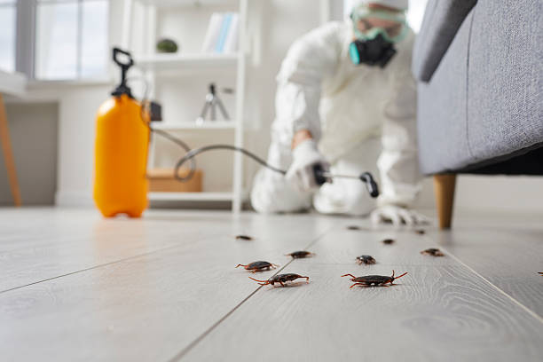 Commercial Kitchen Cockroach Control in Whitestown